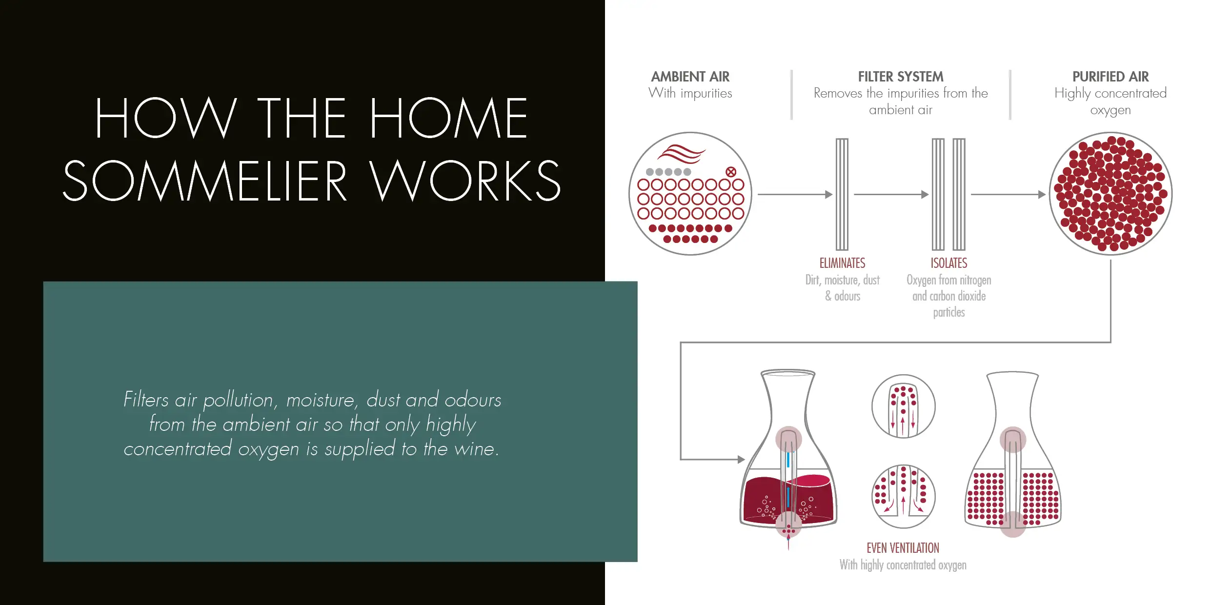 Home Sommelier