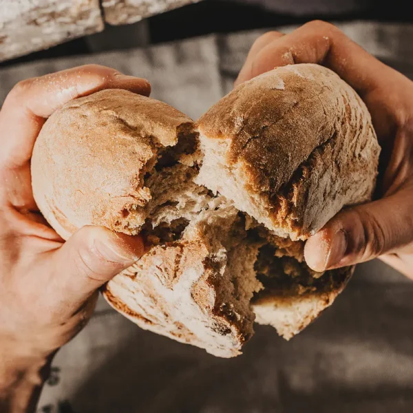 Automatic Bread Maker Pro