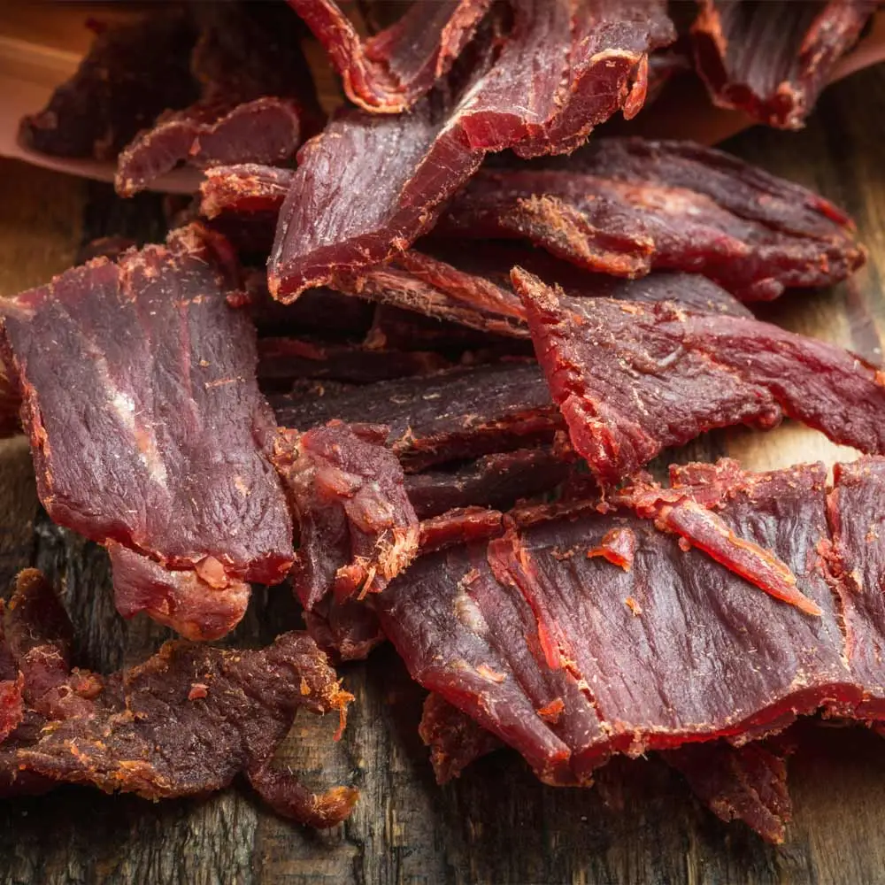 Design Dehydrator Mini Professional