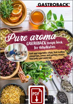 Design Dehydrator Mini Professional