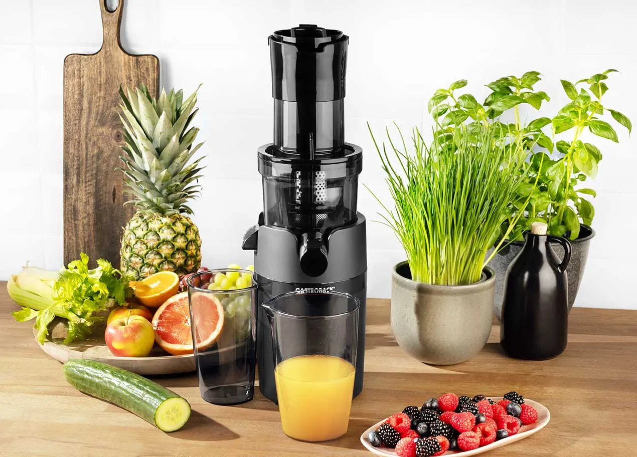 Slow Juicer Vita Fresh 1 Slow Juicer Vita Fresh